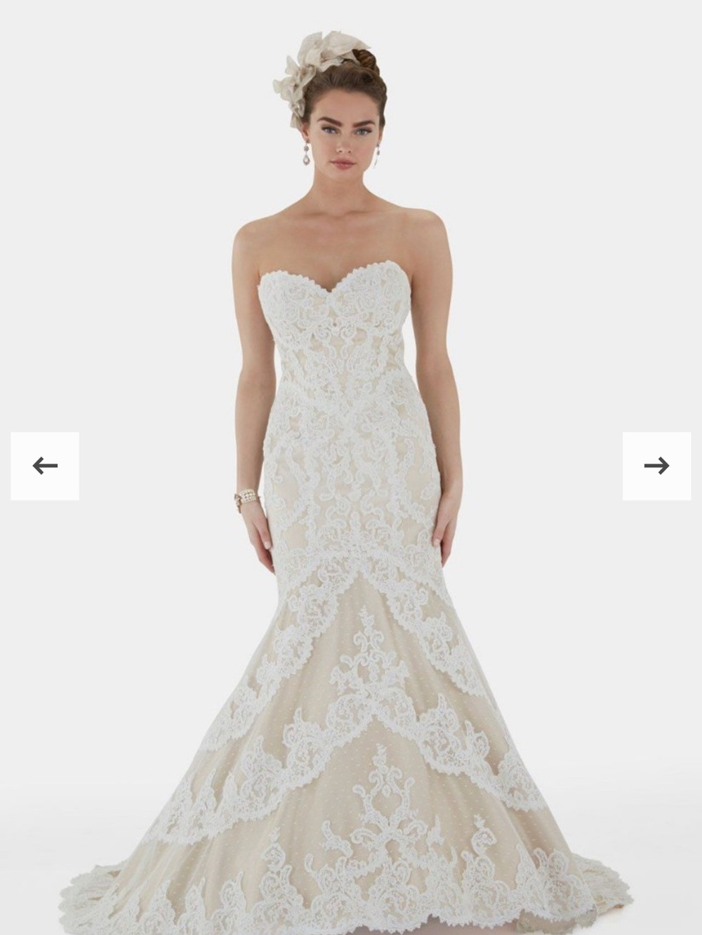 Matthew Christopher Ivory Lace Gown with Nude Satin Lining